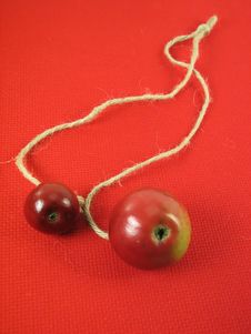 Red Apples And String Stock Photography
