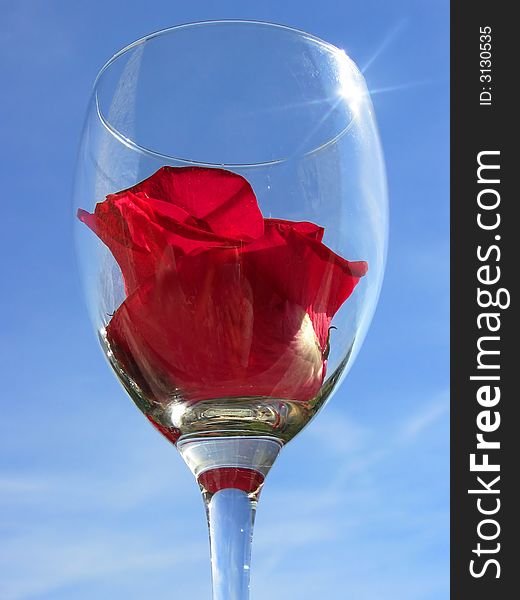 Wineglass with rose flower on sky background