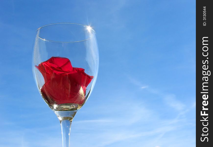 Wineglass with rose flower on sky background