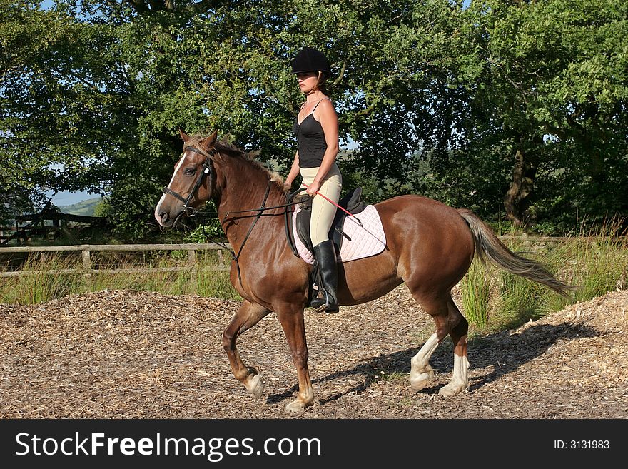 Young woman in riding gear sitting upright on a welsh section d horse with trees and blue sky to the rear. Young woman in riding gear sitting upright on a welsh section d horse with trees and blue sky to the rear.