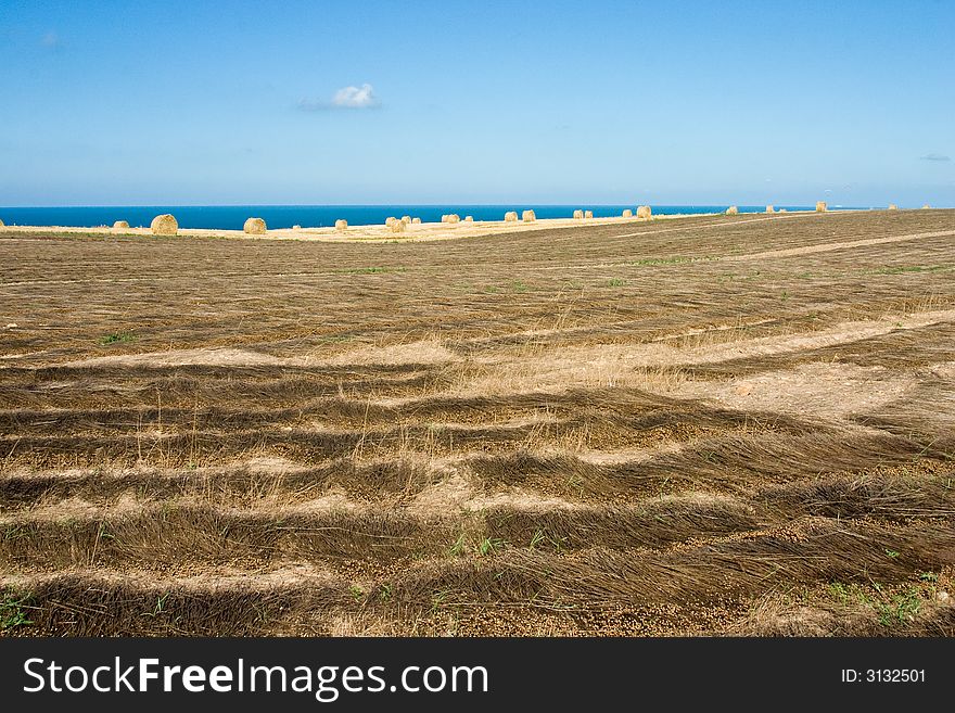 An cornfield after the harvest close to the coast of Brittany, France