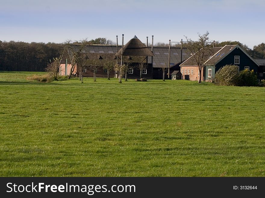 Farmhouse in the Netherlands with field