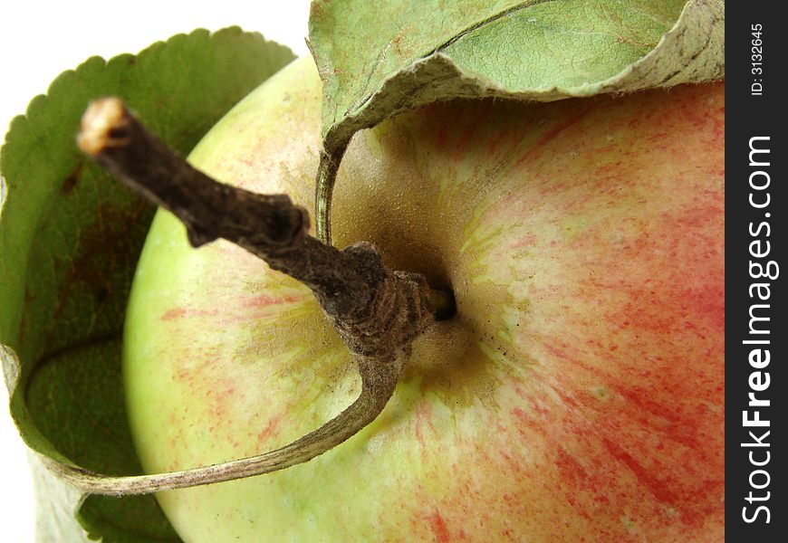 Colorful apple fragment with leaves and stem