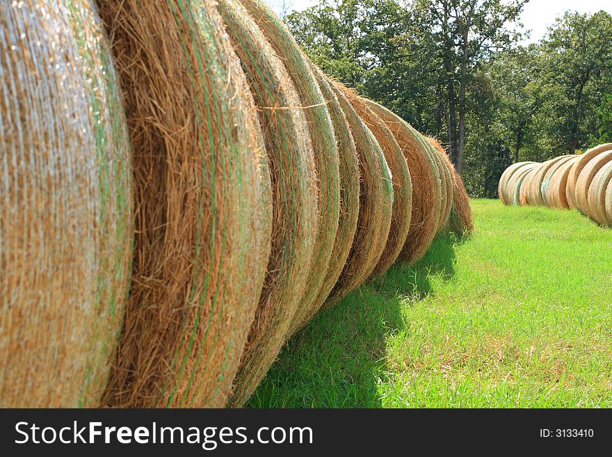 Giant bales of hay lined up in the field. Giant bales of hay lined up in the field.