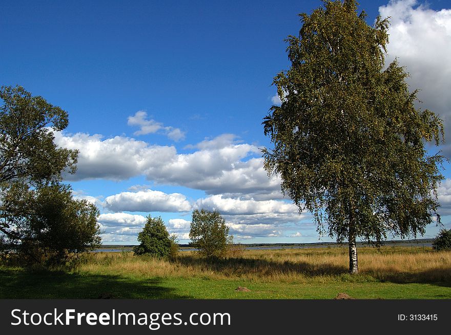 The landscape near the lake in Karelia at autumn day. The landscape near the lake in Karelia at autumn day