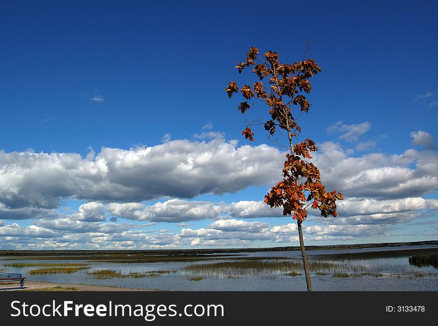 The  lake in Karelia at autumn day. Sky and clouds are reflected by still water. The  lake in Karelia at autumn day. Sky and clouds are reflected by still water