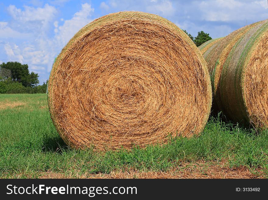 Giant rolls of hay stacked up in the field.