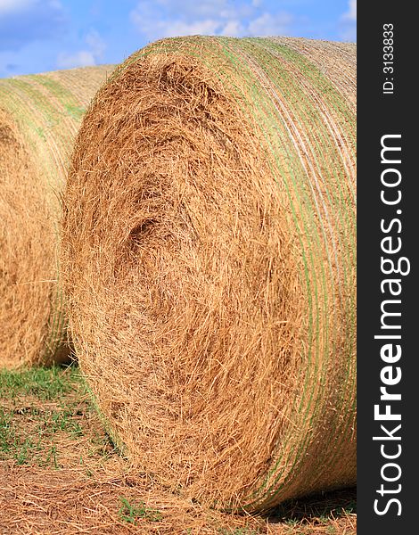 Giant bales of hay in the field. Giant bales of hay in the field.