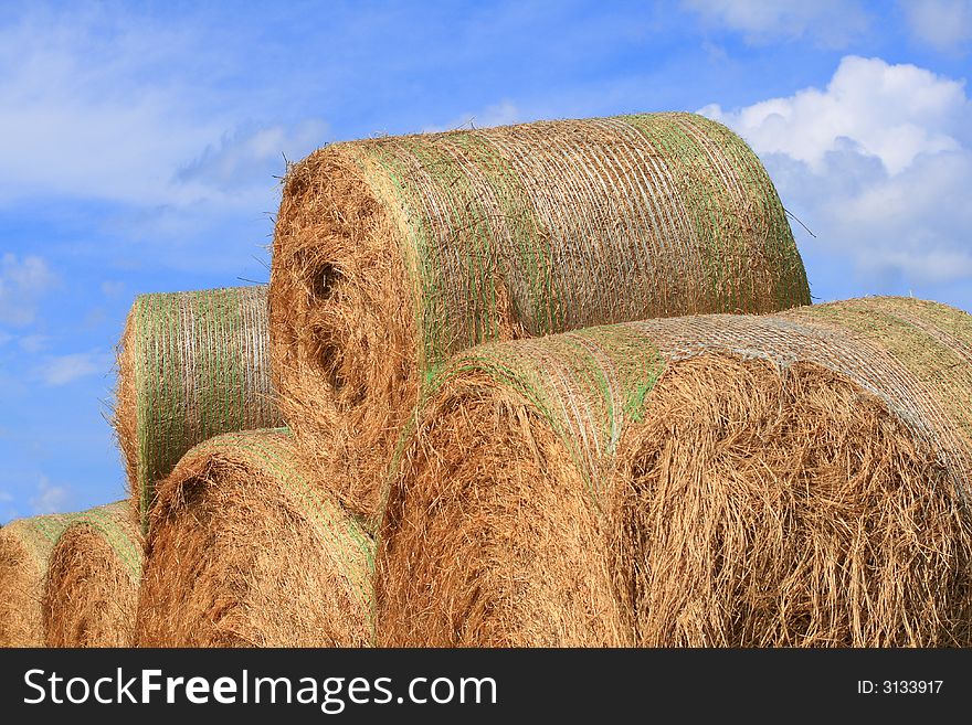 Giant rolls of hay stacked up in the field.