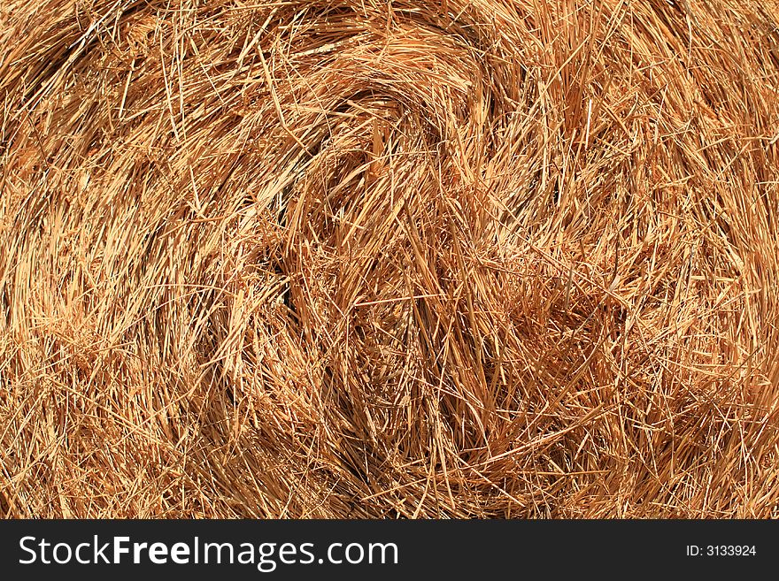 Detailed view of hay baled up.