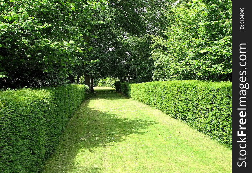 A pleasant grassy walkway hedged on both sides. A pleasant grassy walkway hedged on both sides
