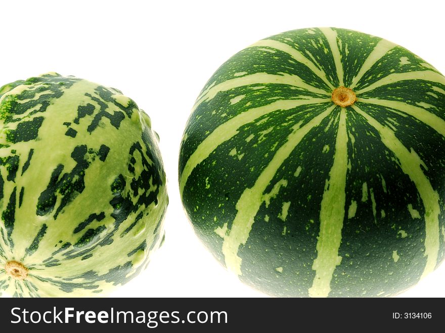 Round squash on white background