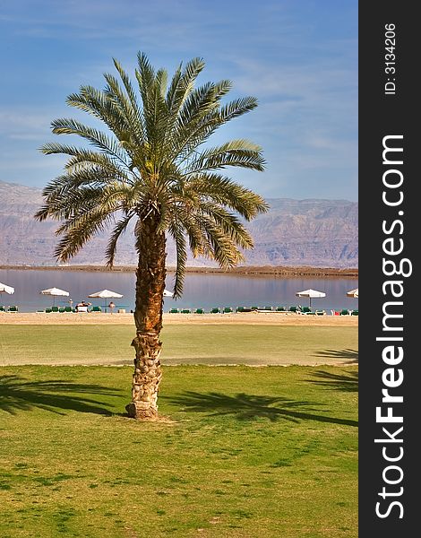 A medical beach on the Dead Sea in Israel. A medical beach on the Dead Sea in Israel