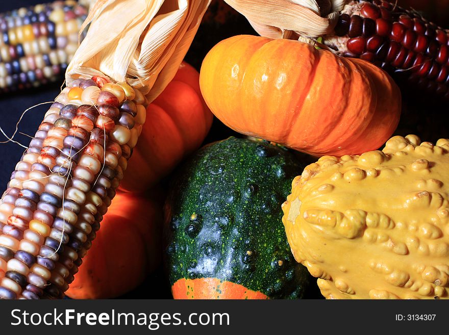 Colorful collection from an autumn harvest.