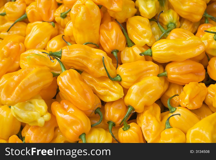 Hot yellow pepper called madame jeanette