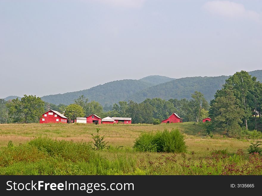 Several red barns and stables across a field in the country. Several red barns and stables across a field in the country