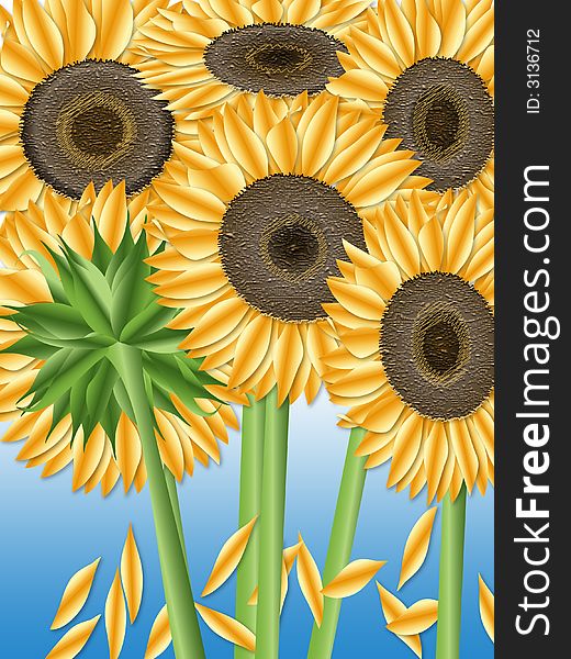 Vector illustration of a collection of sunflowers