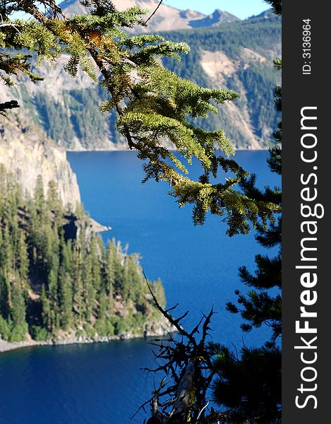 View of the Crater Lake through pine tree. View of the Crater Lake through pine tree