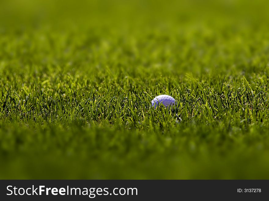 Golf ball lying in lush green grass on the fairway. Golf ball lying in lush green grass on the fairway
