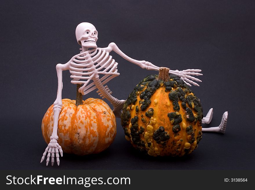 A plastic skeleton leaning behind two gourds on a black background. A plastic skeleton leaning behind two gourds on a black background