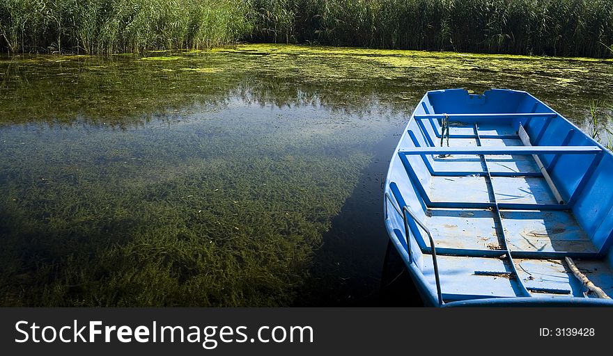 Boat detail in pond, River Drava, Croatia