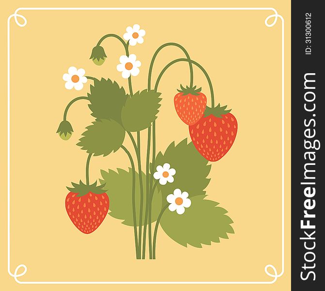 Vector illustration of strawberry bush in white frame