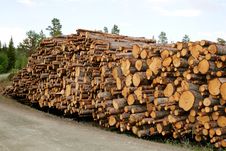 Timber Stock Image Timber Stock Image