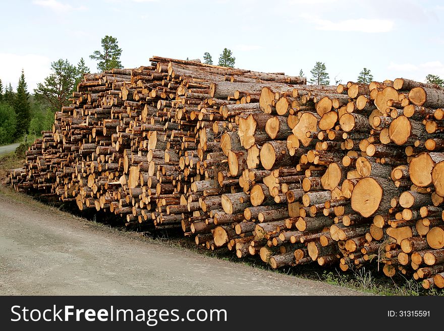 Piles of timber by a country road
