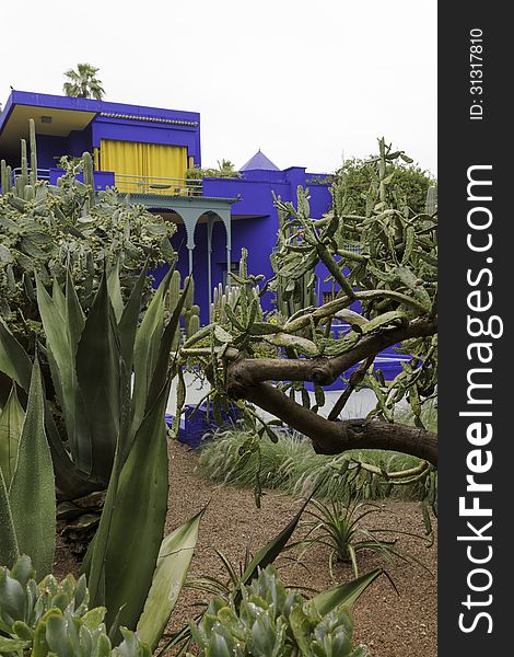 Jardine Majorelle on a rainy day. Jardine Majorelle on a rainy day