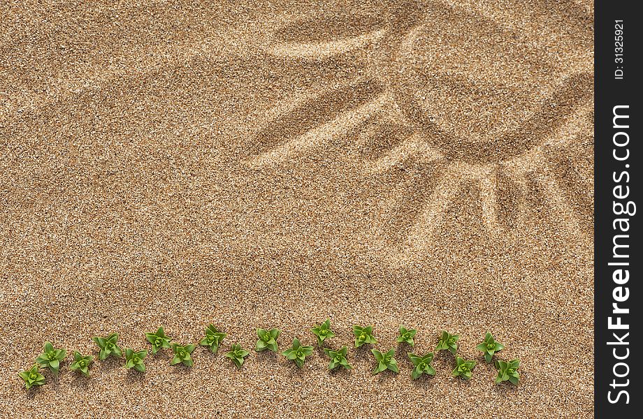 Drawing sun on the sand and plants