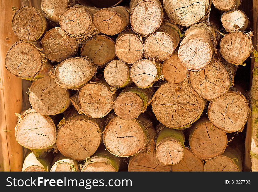 Saw cut logs stacked on top of each other