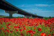 Red Poppy Field And Highwa Overpass Stock Image Red Poppy Field And Highwa Overpass Stock Image