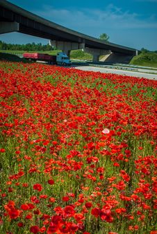 Red Poppy Field And Highwa Overpass Stock Photography Red Poppy Field And Highwa Overpass Stock Photography