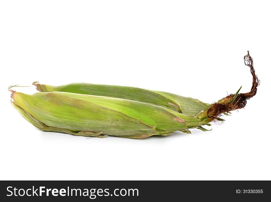 Two ears of corn white background