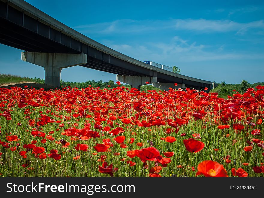 Red Poppy Field  And Highwa Overpass