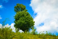 Landscape With Tree On Flank Of Hill Stock Photo Landscape With Tree On Flank Of Hill Stock Photo