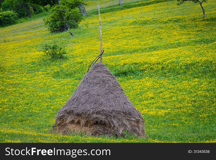 Straw barn in the mountain field, in Romania.