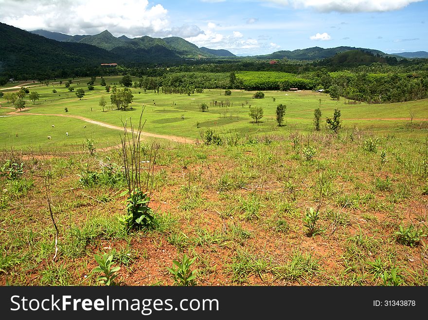 View from the hill, The Beautiful landscape dry grass mountain