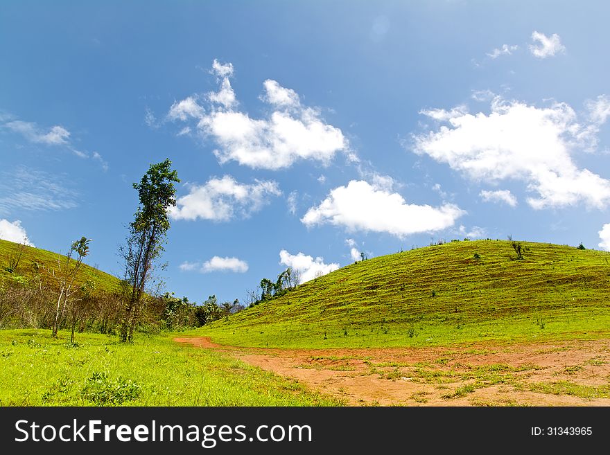 The Road and The Mountain in Countryside with Clear Sky. The Road and The Mountain in Countryside with Clear Sky