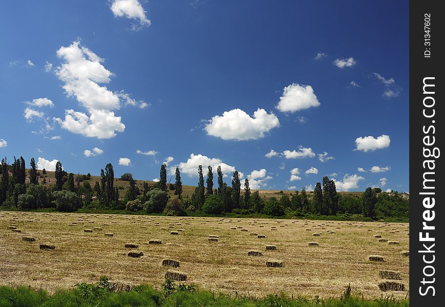 A field of cut grass under the blue sky