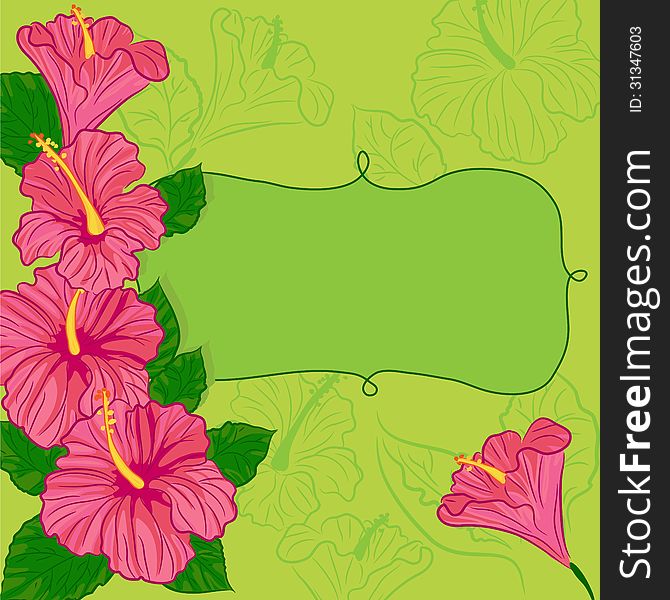 Green background with pink hibiscus. Green background with pink hibiscus