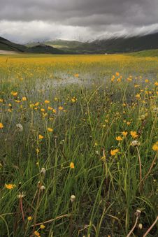Castelluccio Before The Storm Royalty Free Stock Image Castelluccio Before The Storm Royalty Free Stock Image
