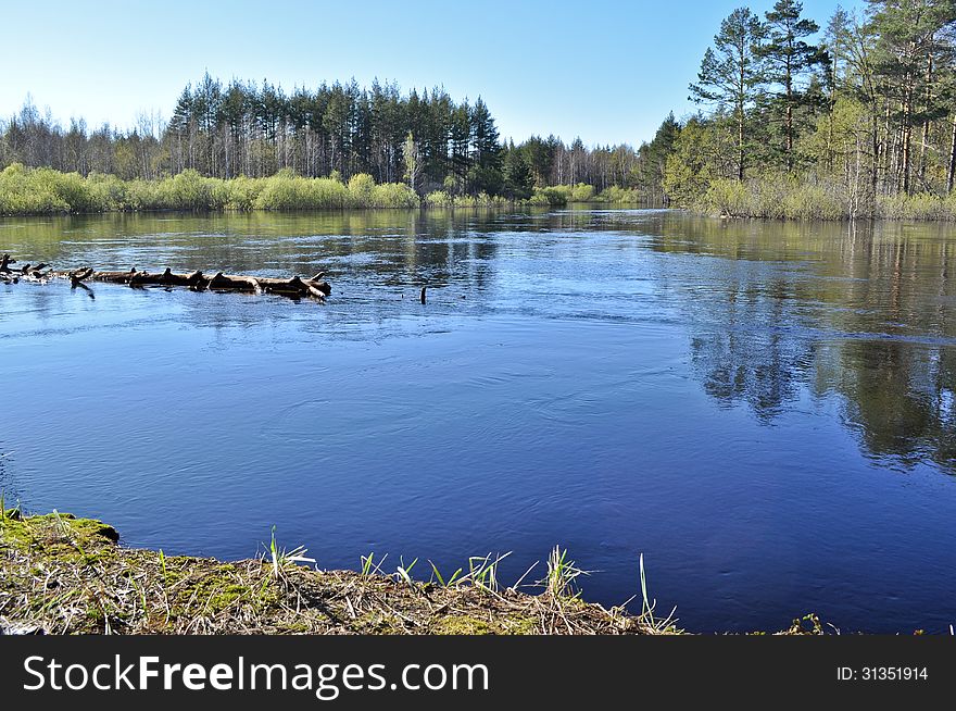 Spring River Landscape Under A Clear Sky.