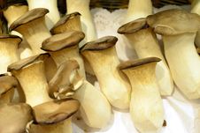 Fresh Chinese Mushrooms Stock Image Fresh Chinese Mushrooms Stock Image