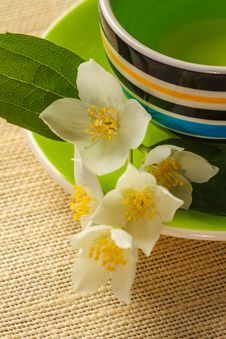 Jasmine Tea Stock Photos Jasmine Tea Stock Photos