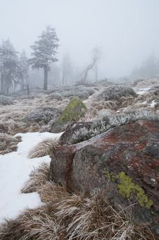 First Snow In Giant Mountains Royalty Free Stock Photo First Snow In Giant Mountains Royalty Free Stock Photo