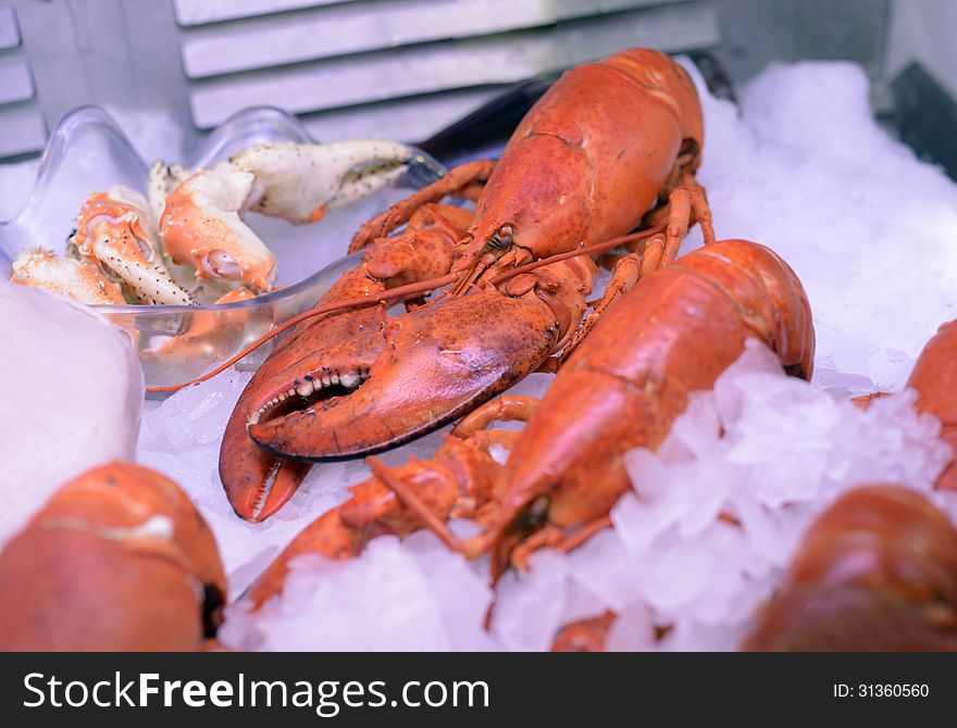 Closeup image of fresh and delicious lobster seafood on ice cubes.