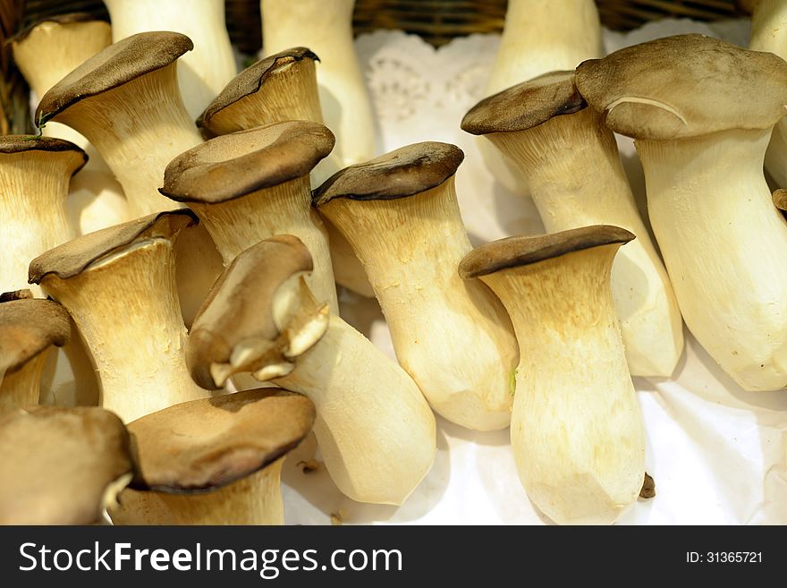 Fresh chinese mushrooms