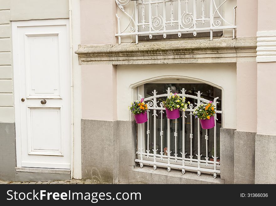 Window with bars and three plants. Brugge old Town