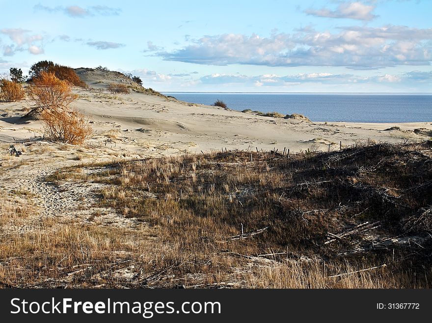 Sand dune on the beach